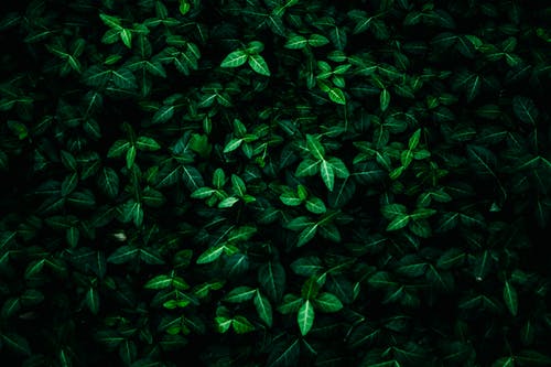 發(fā)驗(yàn)證碼短信多少錢(qián)?